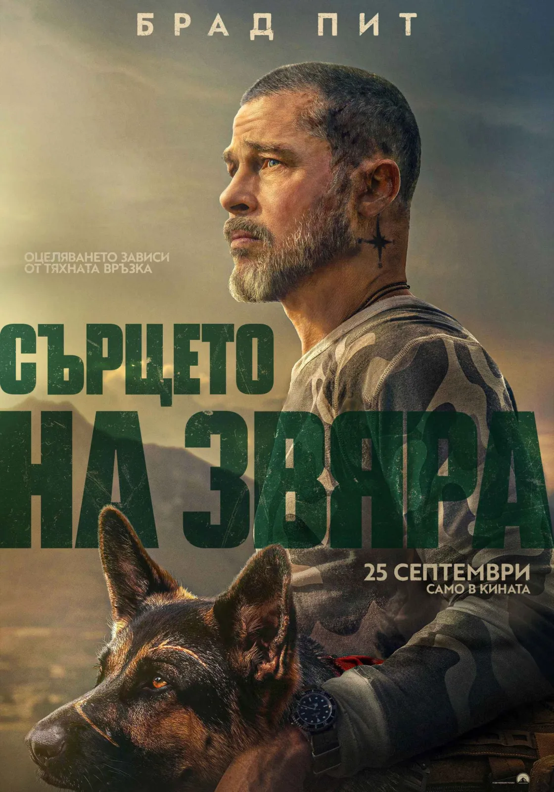 Сърцето на звяра